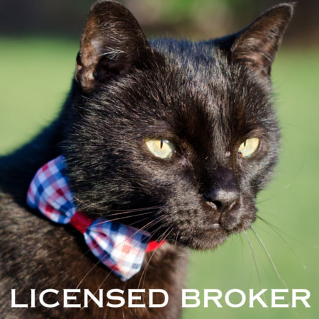 My Cat is Selling Real Estate–Why?