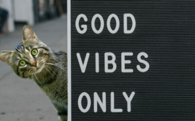 Virtue Signaling and Profits