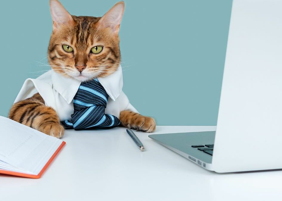 Do Human Property Managers Make Money?