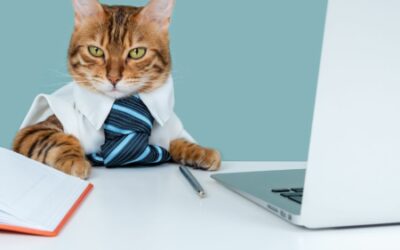 Do Human Property Managers Make Money?