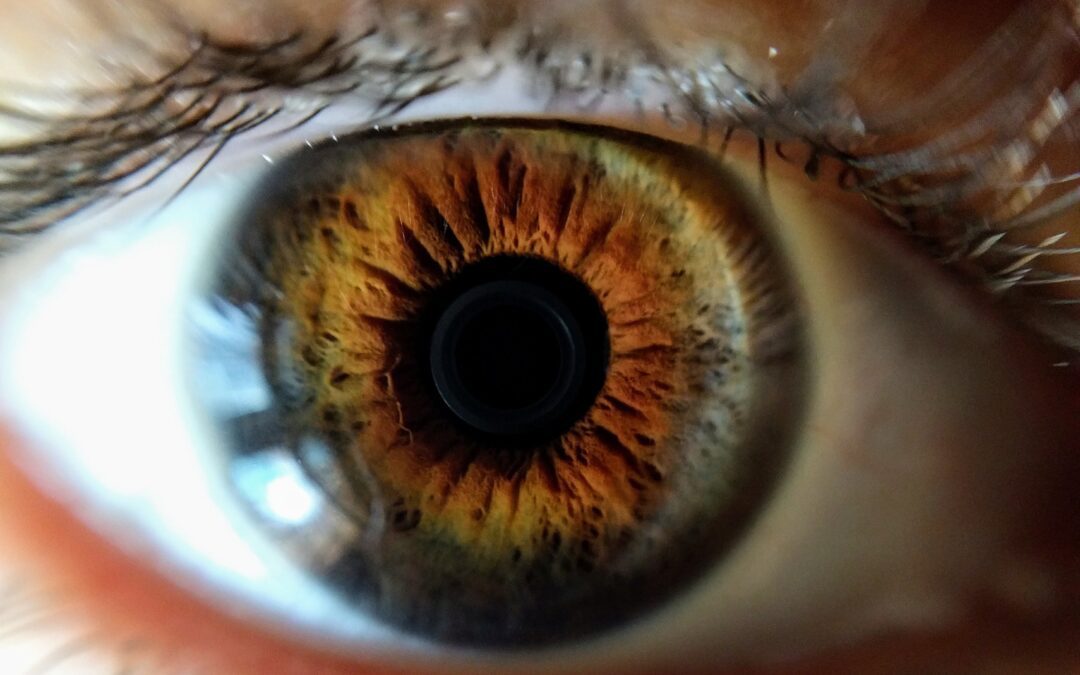 Eye Tracking in Real Estate