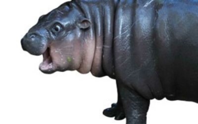 What You Need To Know About 2024